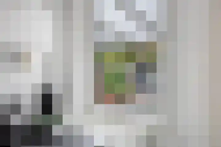 Jardensweg 31 Zuidlaren thumbnail 10