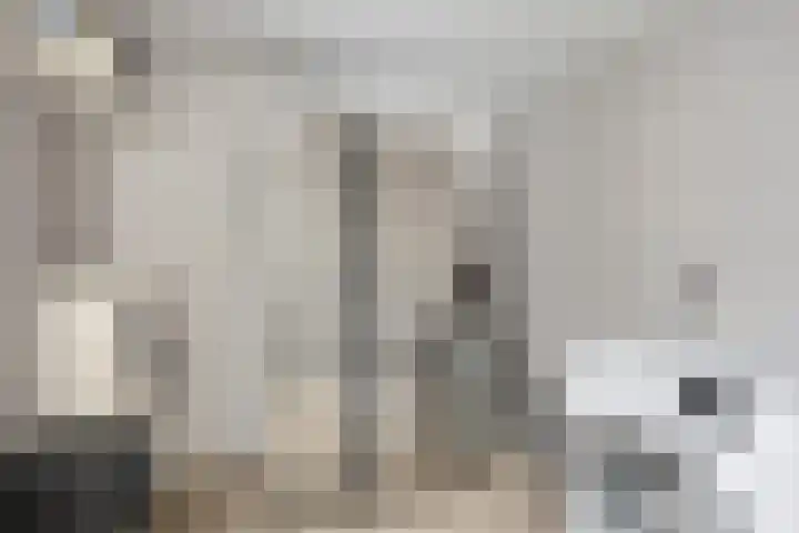 Jardensweg 31 Zuidlaren thumbnail 16