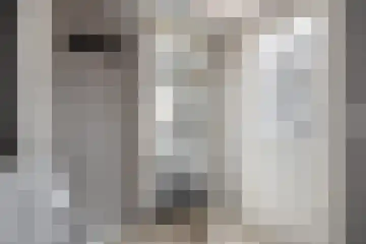 Jardensweg 31 Zuidlaren thumbnail 17