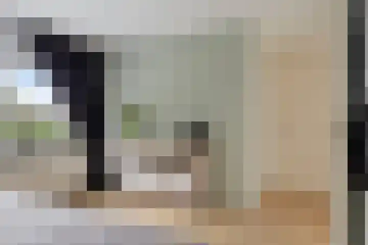 Jardensweg 31 Zuidlaren thumbnail 22