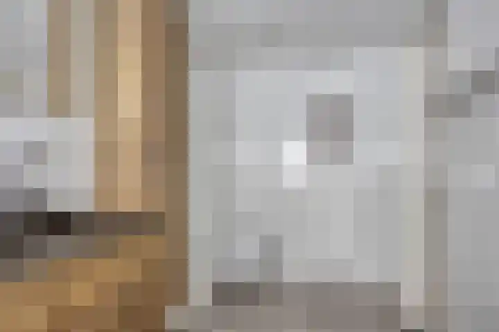 Jardensweg 31 Zuidlaren thumbnail 24