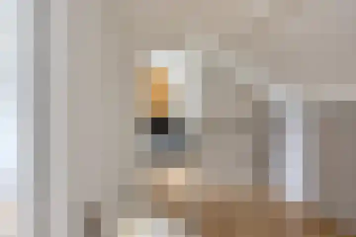 Jardensweg 31 Zuidlaren thumbnail 25