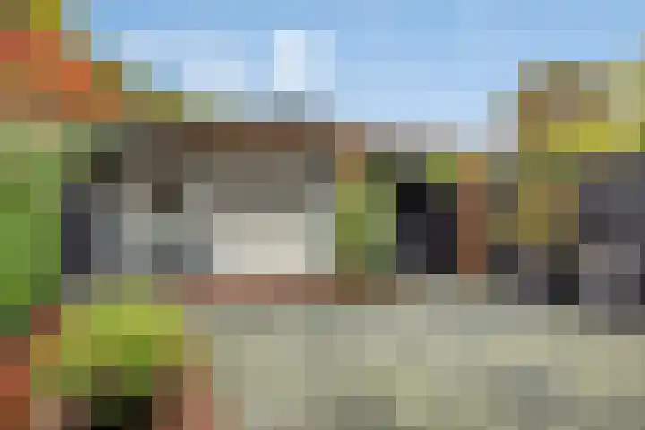 Jardensweg 31 Zuidlaren thumbnail 34