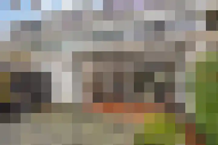 Jardensweg 31 Zuidlaren thumbnail 36