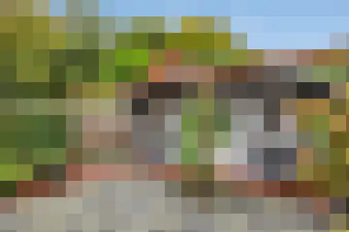 Jardensweg 31 Zuidlaren thumbnail 37