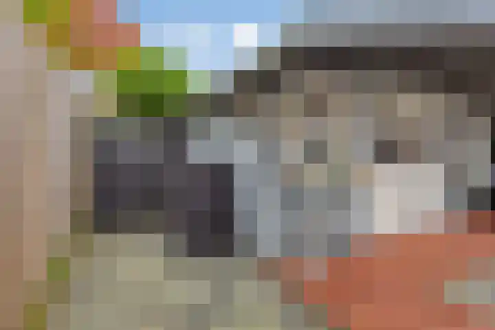 Jardensweg 31 Zuidlaren thumbnail 38