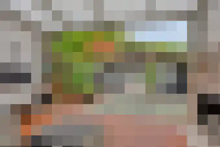 Jardensweg 31 Zuidlaren thumbnail 4