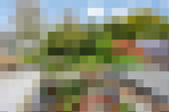 Jardensweg 31 Zuidlaren thumbnail 40