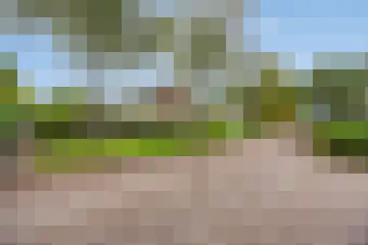 Jardensweg 31 Zuidlaren thumbnail 42
