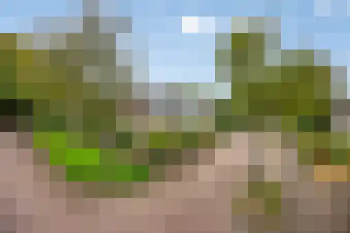Jardensweg 31 Zuidlaren thumbnail 43