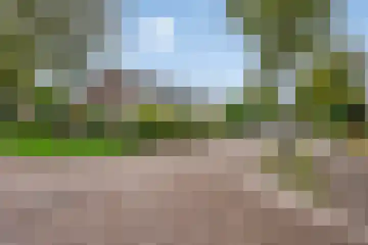 Jardensweg 31 Zuidlaren thumbnail 44