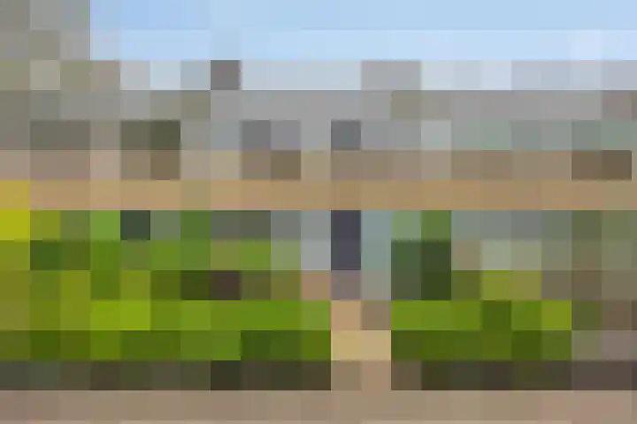 Jardensweg 31 Zuidlaren thumbnail 45