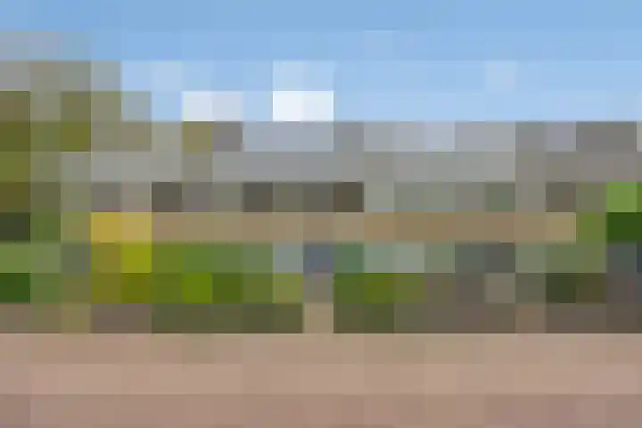 Jardensweg 31 Zuidlaren thumbnail 46