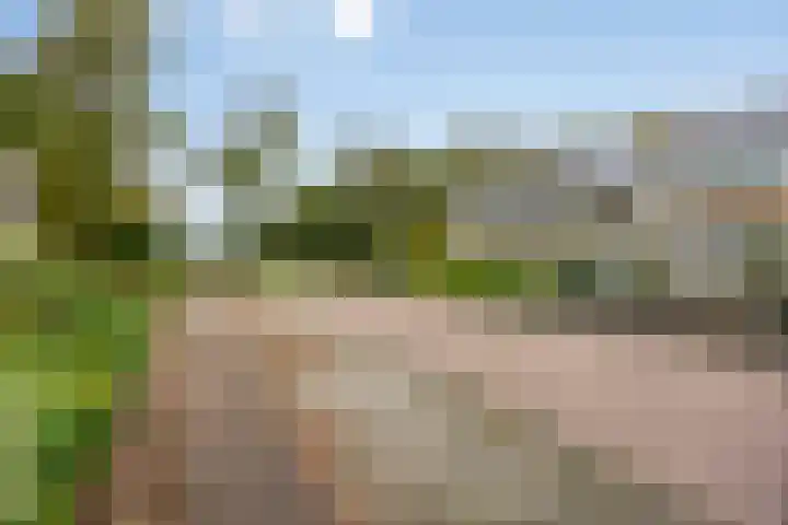 Jardensweg 31 Zuidlaren thumbnail 47