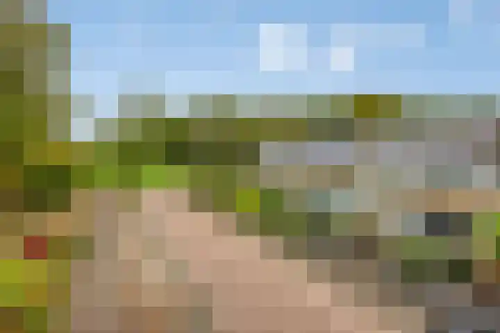 Jardensweg 31 Zuidlaren thumbnail 48