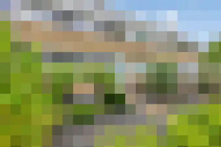 Jardensweg 31 Zuidlaren thumbnail 49
