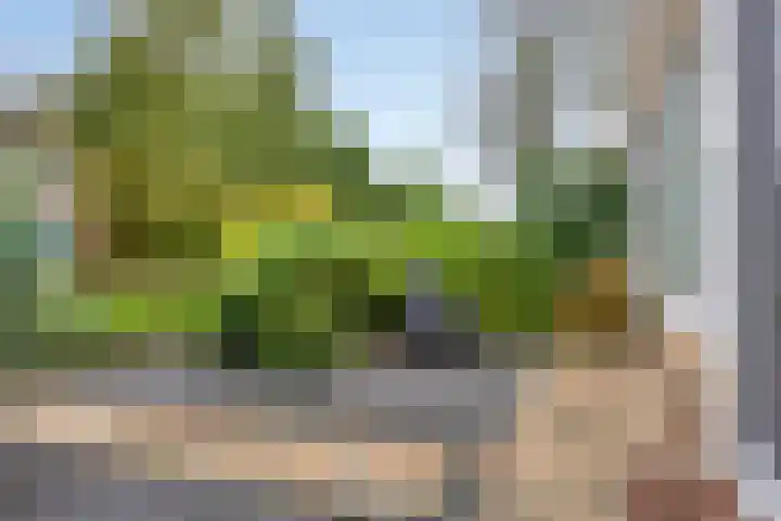 Jardensweg 31 Zuidlaren thumbnail 50