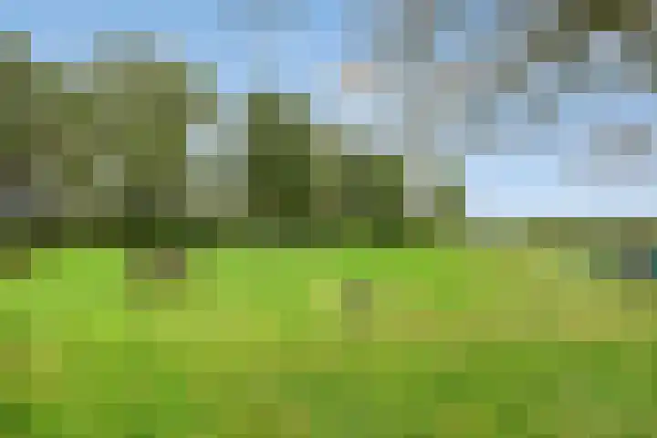 Jardensweg 31 Zuidlaren thumbnail 51