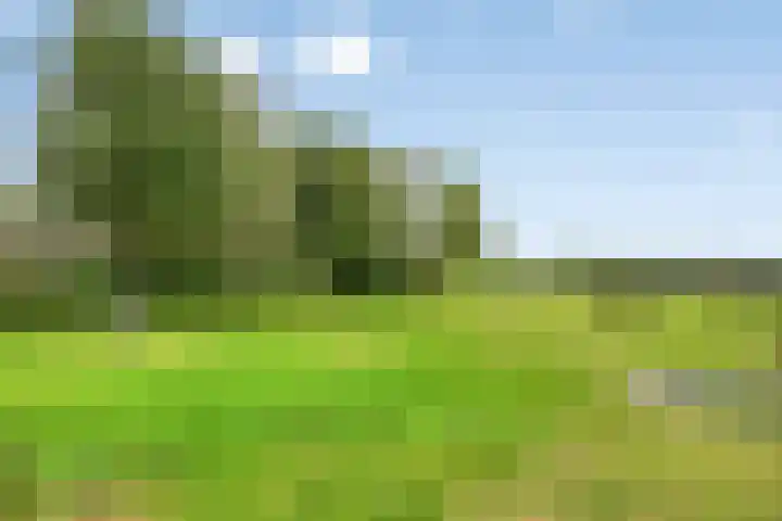 Jardensweg 31 Zuidlaren thumbnail 52