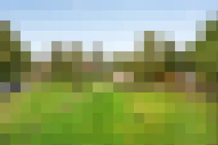 Jardensweg 31 Zuidlaren thumbnail 53