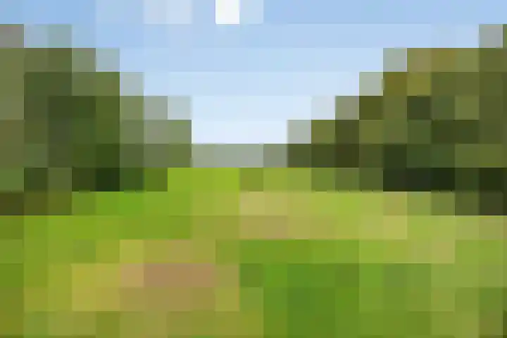 Jardensweg 31 Zuidlaren thumbnail 54