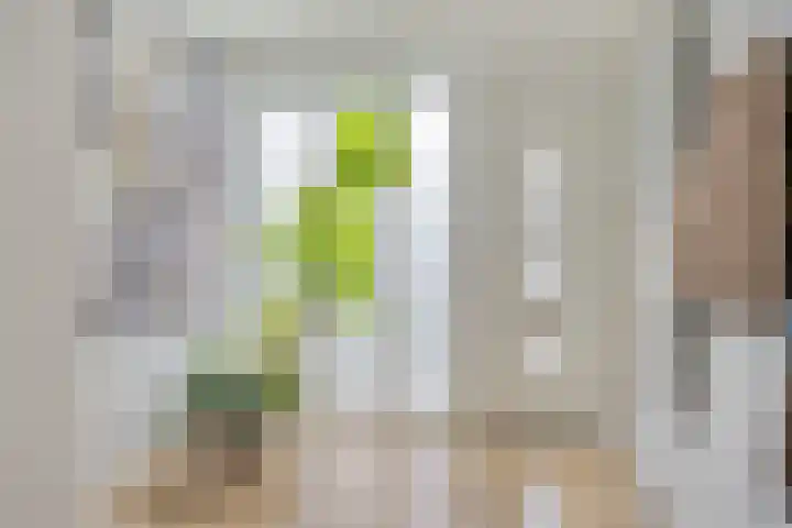 Jardensweg 31 Zuidlaren thumbnail 7