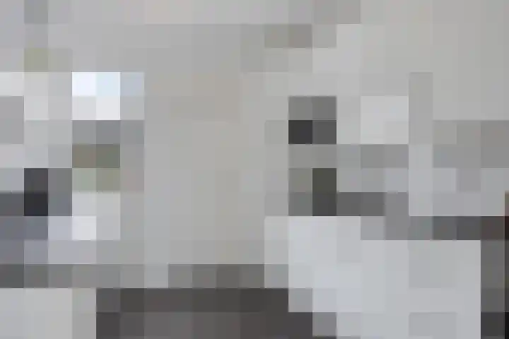 Jardensweg 31 Zuidlaren thumbnail 8
