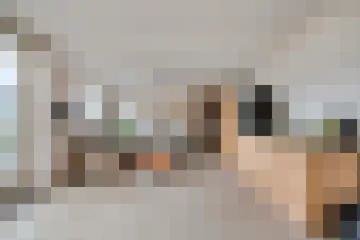 Jarenweg 3 Almere thumbnail 11