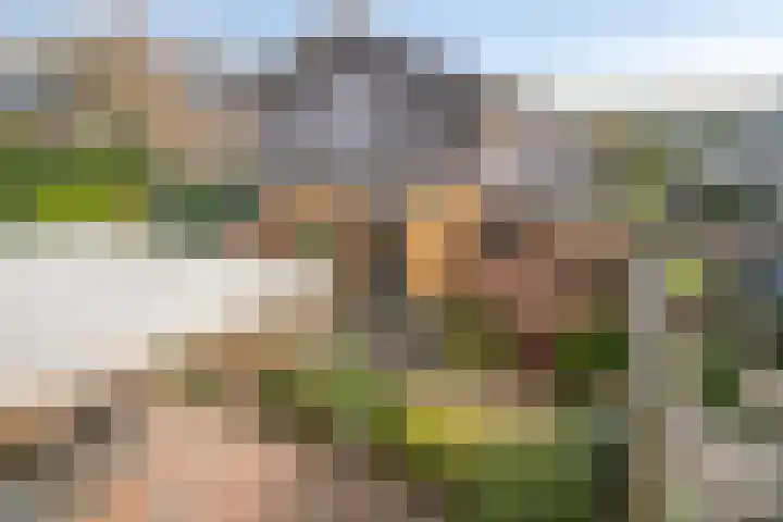 Jarenweg 3 Almere thumbnail 28