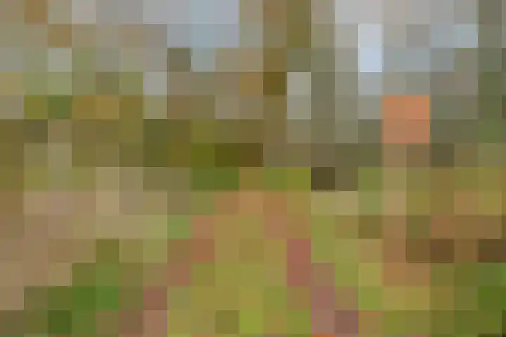 Jarenweg 3 Almere thumbnail 37