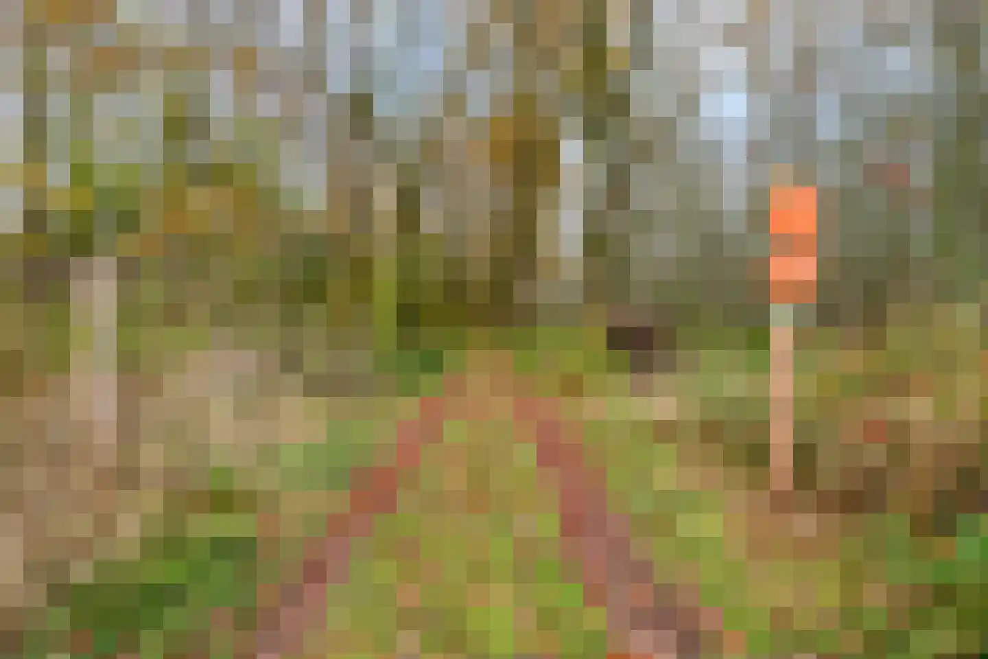 Jarenweg 3 Almere thumbnail 37