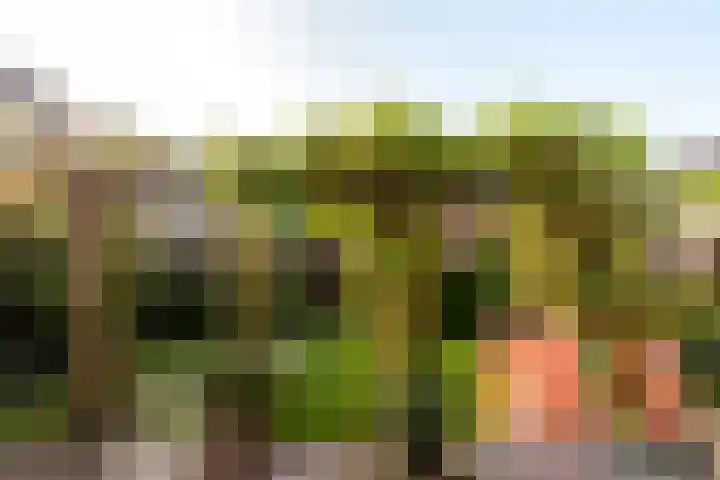 Jarenweg 69 Almere thumbnail 32