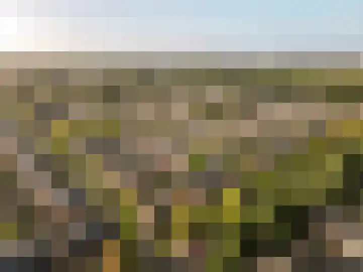 Jarenweg 69 Almere thumbnail 33