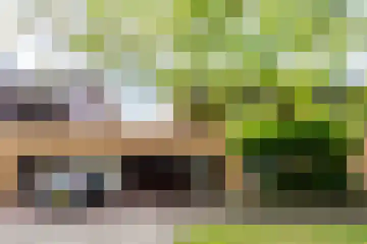 Jarenweg 69 Almere thumbnail 4