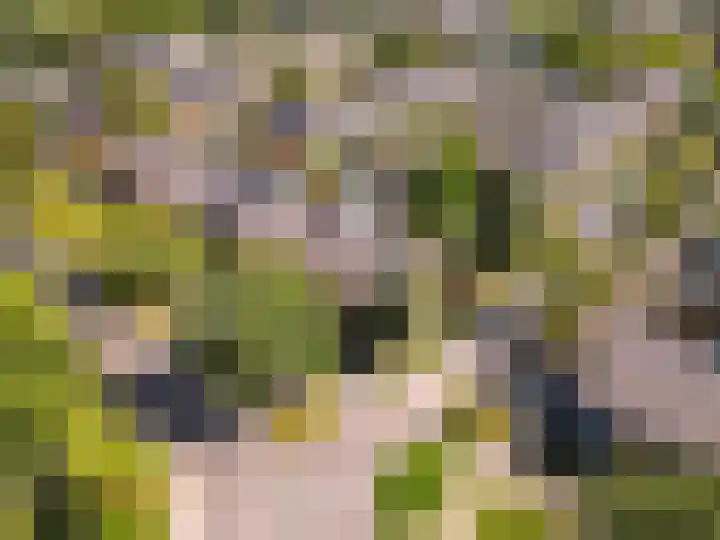 Jarenweg 75 Almere thumbnail 42