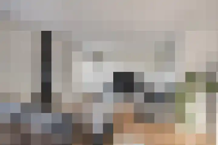 Jarichstrjitte 26 Oppenhuizen thumbnail 11