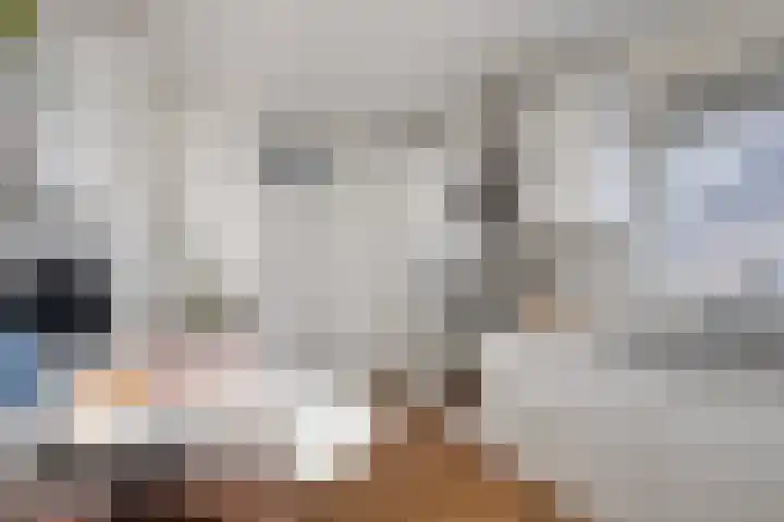 Jarichstrjitte 26 Oppenhuizen thumbnail 14