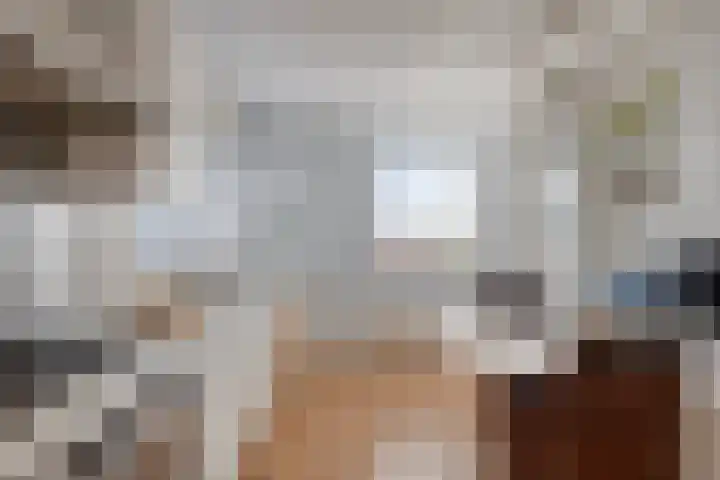 Jarichstrjitte 26 Oppenhuizen thumbnail 15