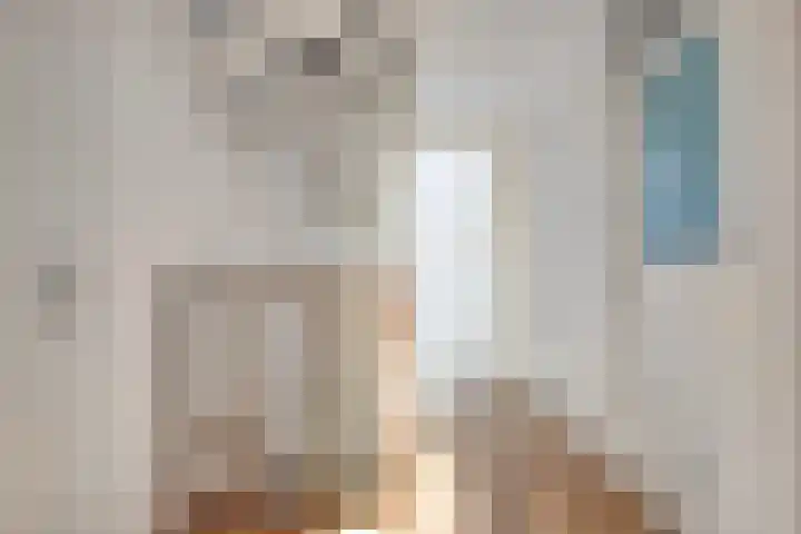 Jarichstrjitte 26 Oppenhuizen thumbnail 18