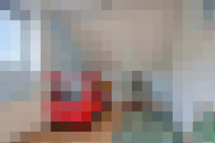 Jarichstrjitte 26 Oppenhuizen thumbnail 26
