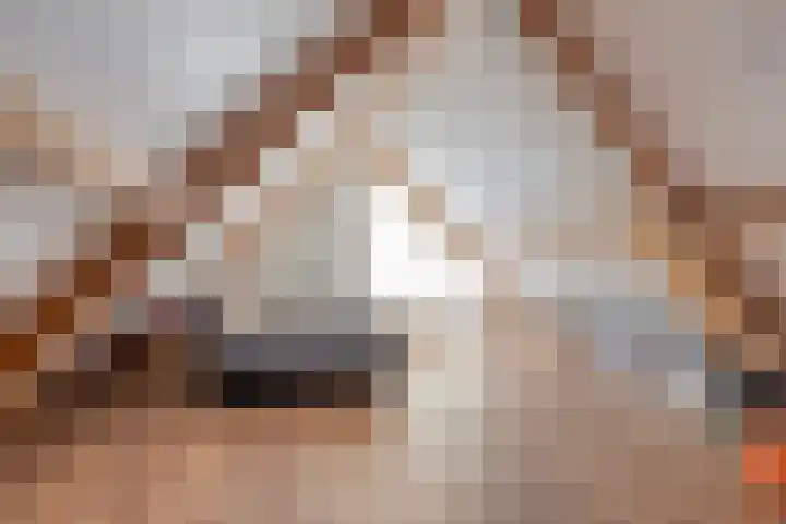 Jarichstrjitte 26 Oppenhuizen thumbnail 28