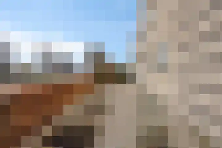 Jarichstrjitte 26 Oppenhuizen thumbnail 29