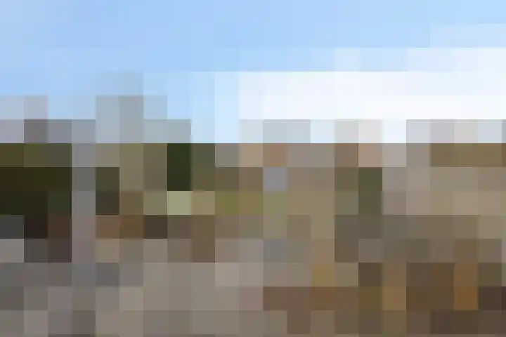 Jarichstrjitte 26 Oppenhuizen thumbnail 30