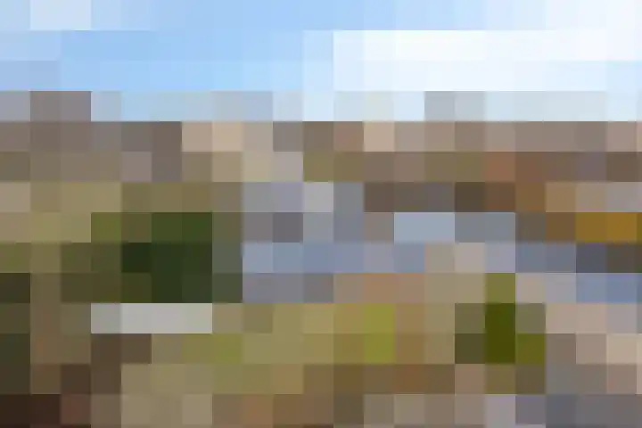 Jarichstrjitte 26 Oppenhuizen thumbnail 31