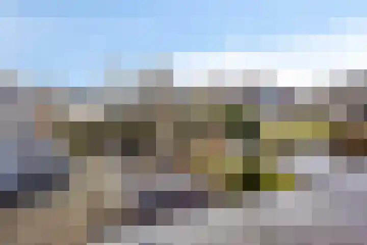 Jarichstrjitte 26 Oppenhuizen thumbnail 32