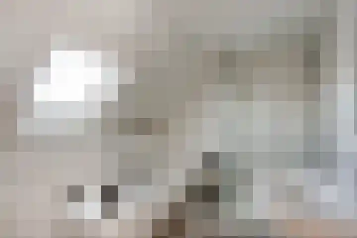 Jarichstrjitte 26 Oppenhuizen thumbnail 4