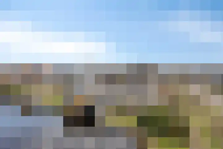 Jarichstrjitte 26 Oppenhuizen thumbnail 5