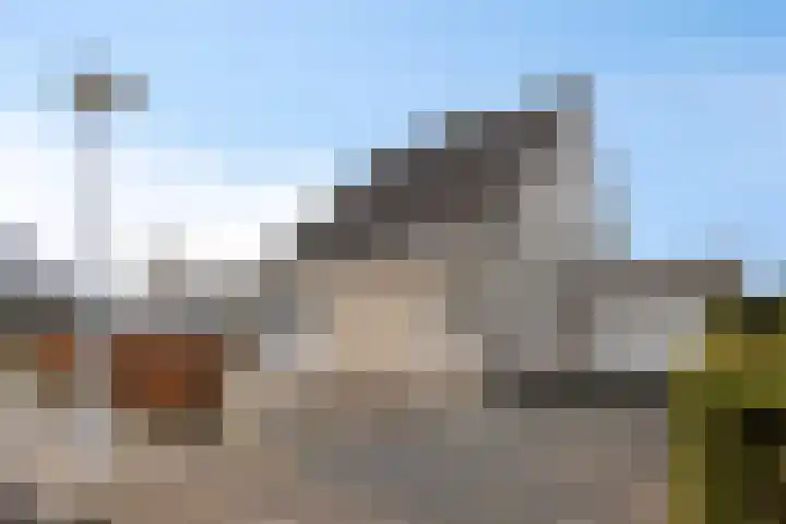 Jarichstrjitte 26 Oppenhuizen thumbnail 7