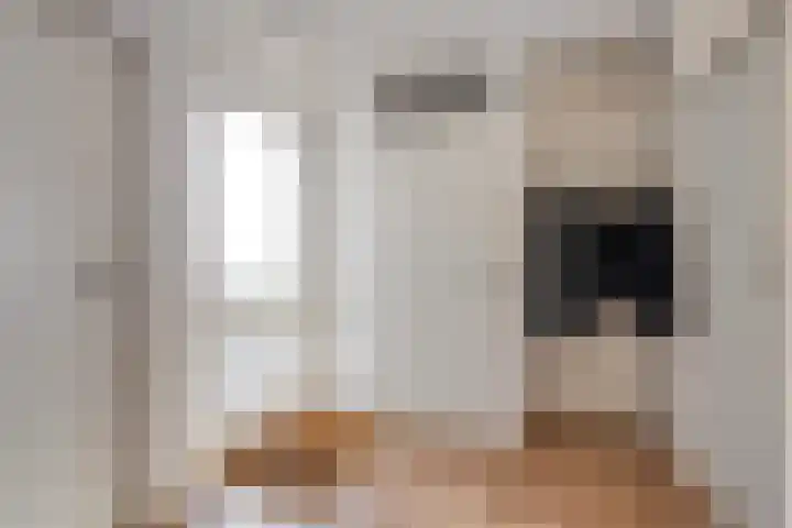 Jarichstrjitte 26 Oppenhuizen thumbnail 9