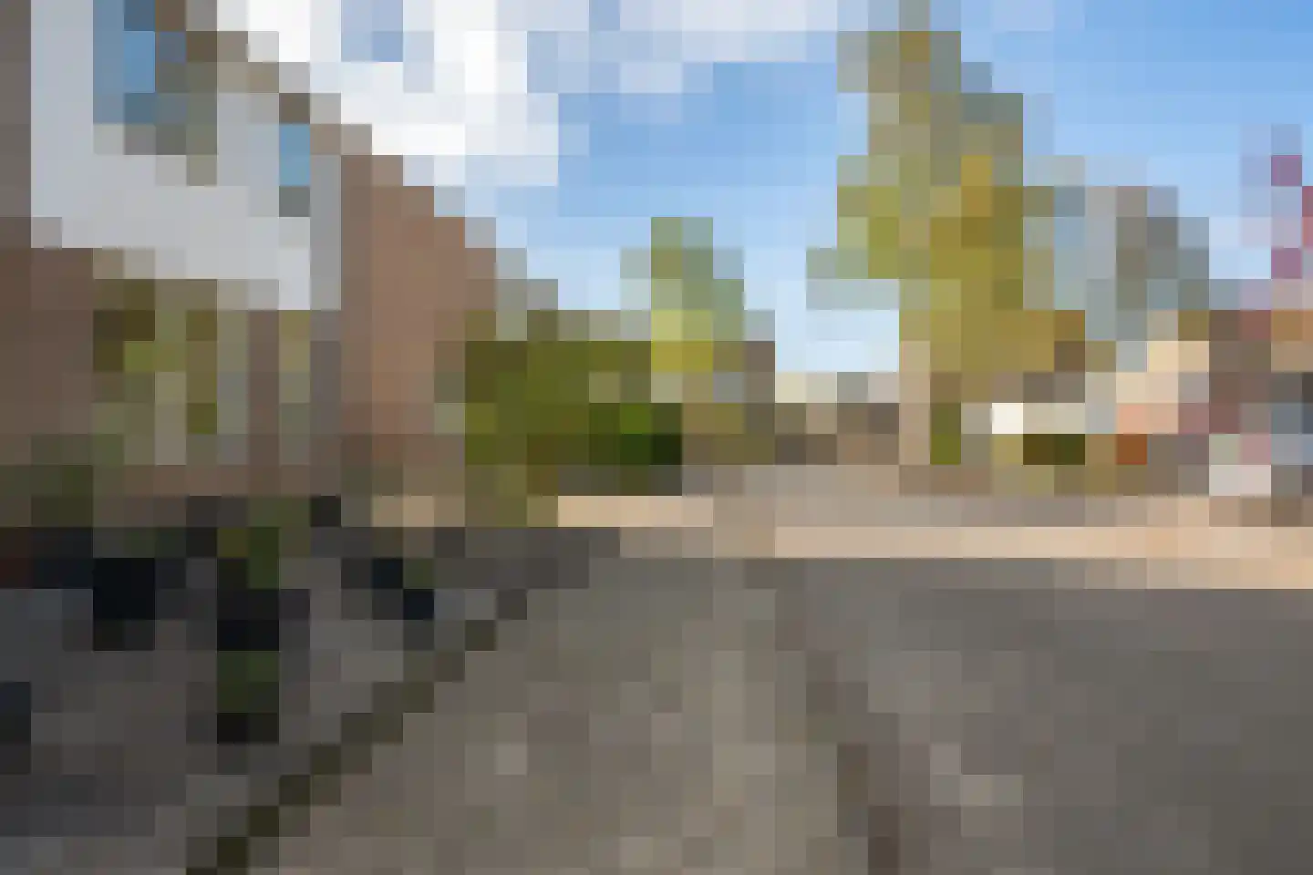 Jarigsmastins 15 Leeuwarden thumbnail 10